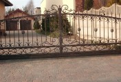 Adar__0001