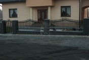 Adar__0017