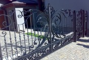 Adar__0020