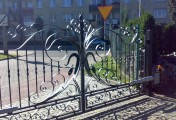 Adar__0026