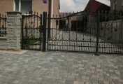 Adar__0028