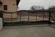 Adar__0037