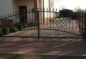 Adar__0039