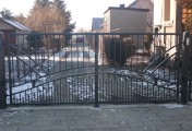 Adar__0062