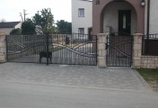 Adar__0090
