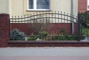 Adar__0100