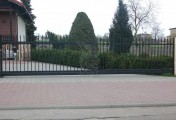 Adar__0105