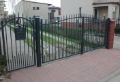 Adar__0106